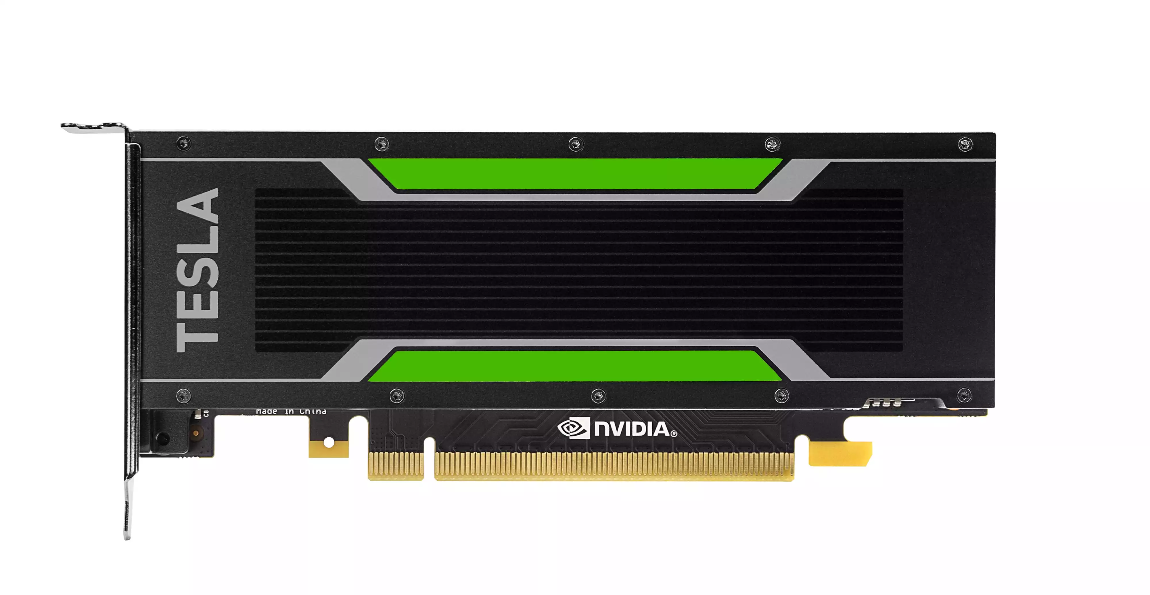 Scheda grafica NVIDIA TESLA P4